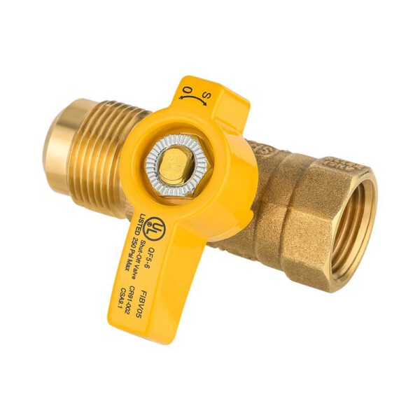 FNPT x Compression Flare Valve - Image 2